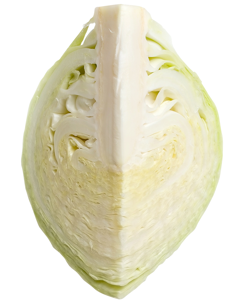 Cabbage, Cabbage png, Cabbage png image, transparent Cabbage png image, Cabbage png full hd images download
